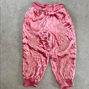 Anthropologie Pink Velvet Embroidered Joggers L